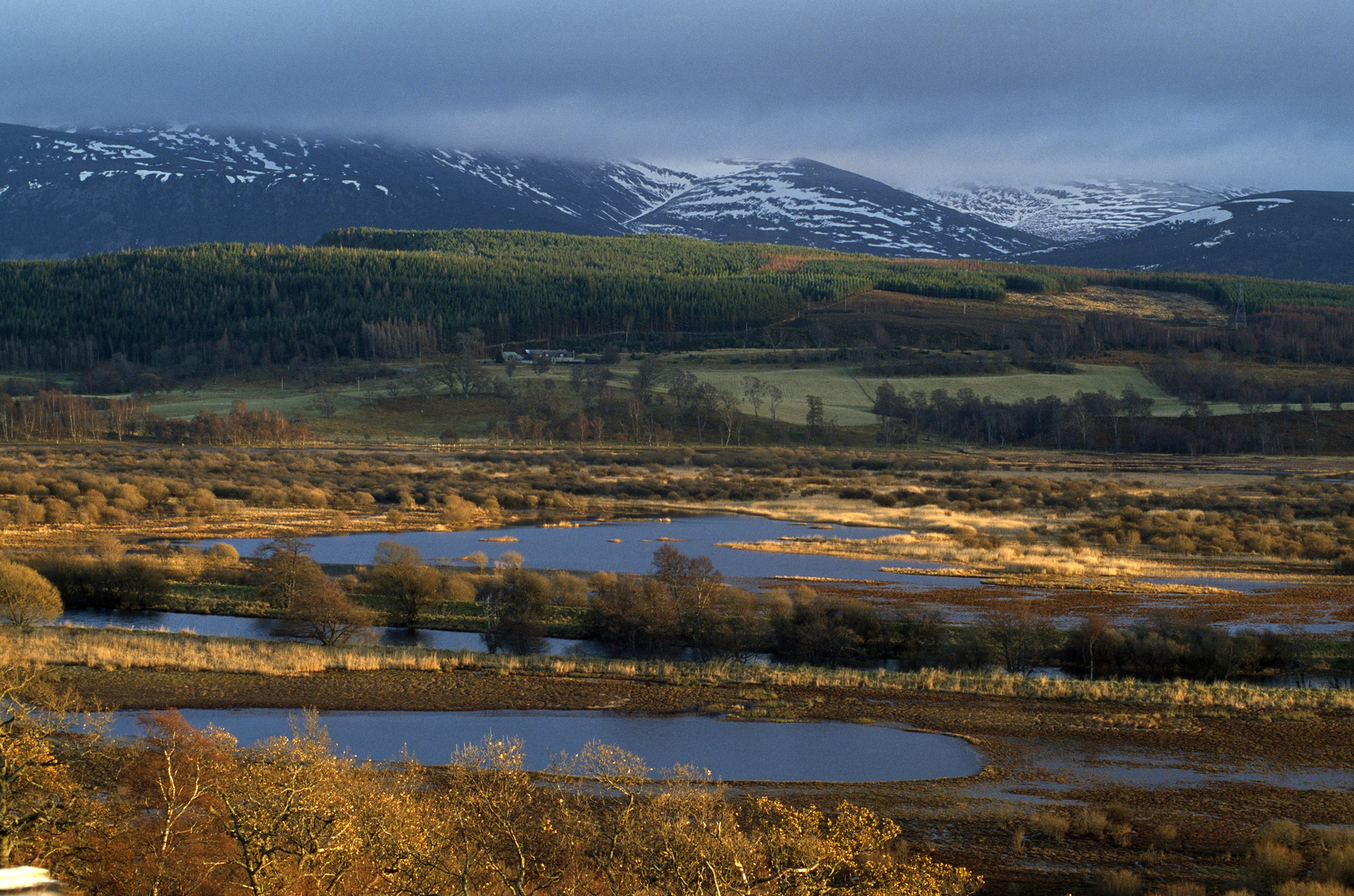 Scotland nature reserves